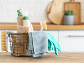 Toz Alerjisi Olanlar için Ev Temizliği Önerileri